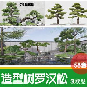 3d新中式日式庭院植物 造型树 罗汉松 迎客松 院子竹子松树su模型