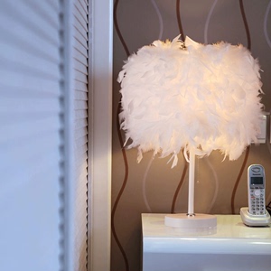 IKEA宜家欧式时尚羽毛落地台灯结婚庆北欧装饰灯具卧室床头创意客