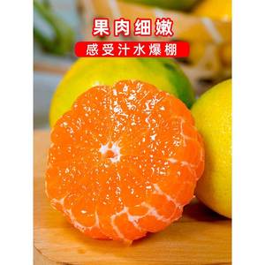 宜昌蜜桔橘子9斤新鲜青皮蜜橘当季柑橘整箱酸桔子孕妇水果包邮10