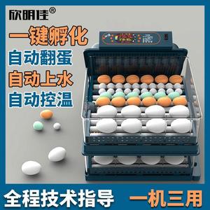 伊科贝特孵化机鸡蛋孵化器全自动智能小型家用型孵蛋器孵化箱设备