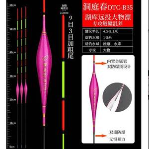 冠渔王二代防爆顶行程浮漂