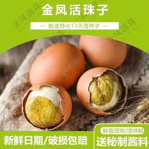 【粉丝专享】瑾贝五香味金凤活珠子钢化蛋毛蛋10枚-40枚