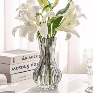 新款蒜头玻璃花瓶透明插花水养鲜花玫瑰网红水培器皿家居简约装饰