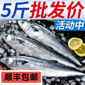 【活动中】青岛大鲅鱼新鲜特大冷冻鲜活燕鲅鱼马鲛鱼馅饺海鱼