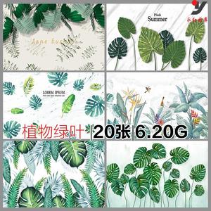 小清新手绘水彩插画热带雨林绿叶植物树叶装饰画高清图库设计素材