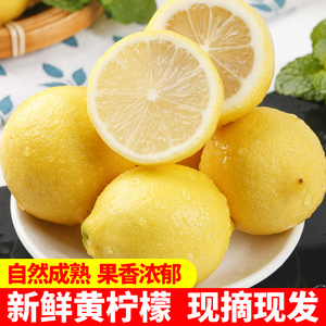 四川安岳黄柠檬尤力克当季新鲜水果清香榨汁柠檬小金桔整箱奶茶店