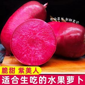 新鲜紫美人萝卜胭脂萝卜红皮红肉萝卜泡菜萝卜5斤红心萝卜w