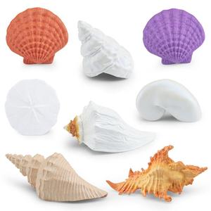 网红款仿真海洋贝壳模型玩具8pcs蝾螺鹦鹉螺蛾螺扇贝骨螺海螺静态