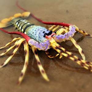儿童玩具仿真海洋动物螃蟹澳洲龙虾模型塑料摆件大帝王蟹深海黄色
