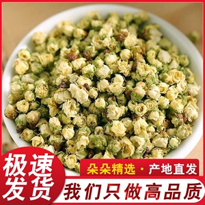 绿萼梅花茶绿鄂梅正品中药材500g白梅花干花玫瑰花泡茶水喝的东西