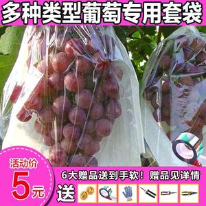 日本葡萄袋子纸袋葡萄套袋露天阳光玫瑰半透明袋纸套袋专用水果套