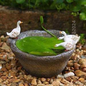 草水培茶桌庭院花园植物铜钱花盆石臼装饰小白&可爱鸭子创意摆件