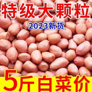 2023年新鲜花生米新货大颗粒白沙农家生花生米商用去散装壳花生仁
