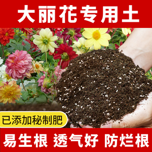 大丽花专用土肥料绿植养花土大丽花营养土种花透气花盆花卉土通用