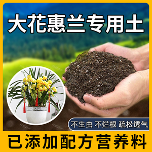 大花惠兰专用土肥料大花惠兰营养土室内黑土育苗花土泥土盆栽土壤