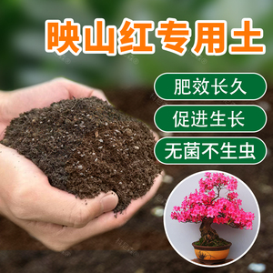 映山红土专用营养土家庭盆景土有机酸性土壤盆栽植物种植土肥料