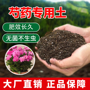 芍药专用土肥料牡丹芍药营养土阳台花卉绿植天然泥土黑土有机土