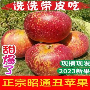云南昭通市丑苹果现摘当季野生冰糖心孕妇水果新鲜10斤整箱红富士