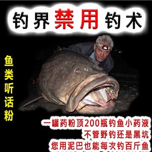 日本钓鱼小药野钓黑坑鱼饵料鲫鲤鱼草鱼千里香果酸麝香开口诱鱼剂