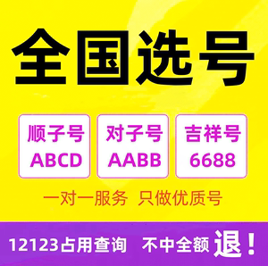 全国车牌自编选号新能源汽车牌照12123数据库占用查询新车号码库