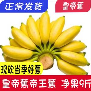 皇帝蕉小香蕉9斤水果新鲜进口品种香焦帝皇蕉广西粉蕉甜糯帝王蕉
