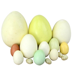仿真鸡蛋鹅蛋鸭蛋鸵鸟蛋恐龙蛋鹌鹑蛋巨蛋假鸡蛋样品模型道具