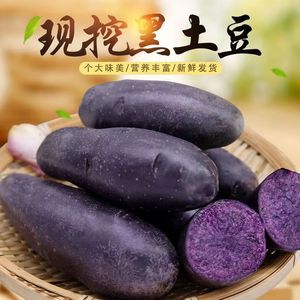 新鲜现挖紫土豆黑土豆黑美人黑金刚紫马铃薯乌洋芋黑土豆种子m