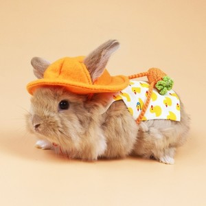 春夏宠物兔子衣服侏儒兔外出牵引绳套装奶狗奶猫服饰可爱幼稚园风