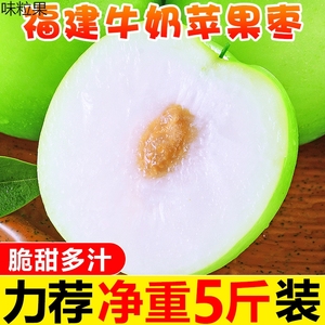 福建牛奶苹果枣5斤枣子新鲜当季水果大青枣脆蜜枣冬枣红枣10