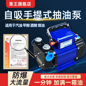 准王防爆抽油泵电动12V24V220V大流量汽油柴油甲醇自吸加油泵