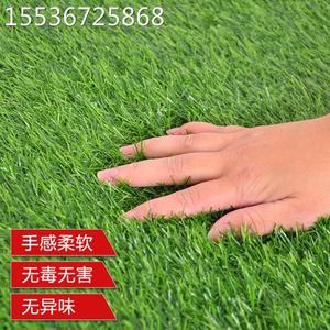 仿真草坪人工幼儿园假草坪草皮塑料绿色人造草皮球场地毯