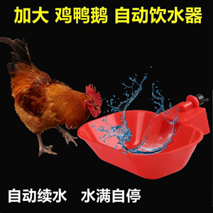 加大加宽鸡鸭鹅自动水碗喂水器鸽子鹌鹑自动饮水器鸡养殖设备用品