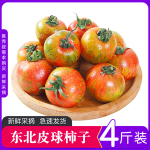 东北皮球柿子草莓铁皮柿子农家西红柿虎皮柿子新鲜小番茄迷彩柿子