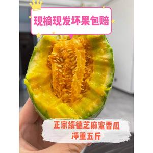 芝麻蜜香瓜香脆可口净重陕北榆林市产地水果当季新鲜现摘包邮