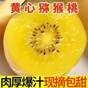 四川蒲江黄心猕猴桃5斤当季新鲜水果奇异果迷糊桃弥核桃超甜多汁