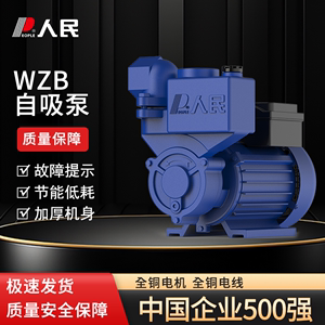 人民电器空调自吸泵GP125家用增压泵WZB太阳能循环加压泵水井