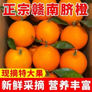 江西正宗赣南脐橙10斤新鲜橙子赣州当季水果甜冰糖手剥橙农场现发