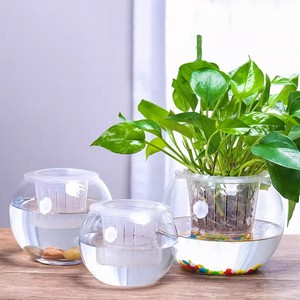 水培植物PET塑料透明花瓶容器绿萝花盆圆球形鱼缸水养小客厅桌面