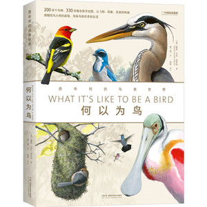 何以为鸟西布利的鸟类世界 当代观鸟画鸟大师西布利全新画册 200余个常见鸟种或类群介绍鸟类生活 识鸟辨鸟指南湖南科学技术出版社