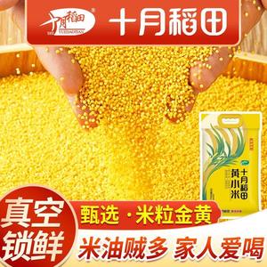 新米十月稻田黄小米5斤香糯稠杂粮小米5kg月子米香浓郁米油醇厚
