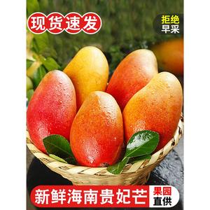 海南贵妃芒果新鲜水果当季9斤装红金龙甜心热带大芒果整箱10