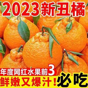 四川丑橘10斤新鲜水果当季整箱包邮丑粑粑八怪蜜耙耙桔子柑