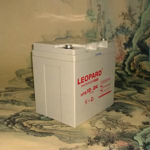 美洲豹LEOPARD蓄电池12V24AH监控/消防主机NP-12-24机房UPS电源