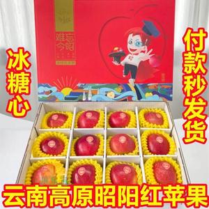 正宗【昭阳红苹果】云南高原红苹果12个装新鲜邵阳红苹果冰糖心甜