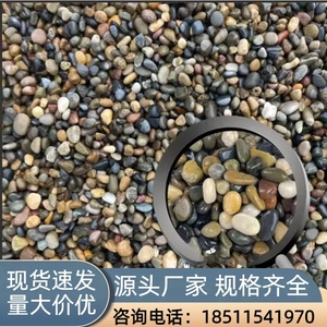 北京天然鹅卵石滤料石子沼泽过滤石头地暖找平回填专用豆石水洗石