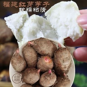 福建红芽小芋头新鲜5斤包邮 农家芋艿香芋儿红嘴毛芋仔食用小芋子