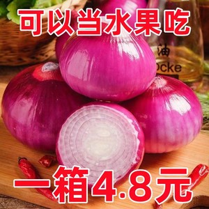 云南农家现挖水果小洋葱9斤装甜味生吃5紫皮圆葱头蔬菜新鲜整箱10