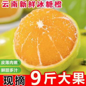 正宗云南冰糖橙10斤橙子玉溪冰糖柑小甜橙当季手剥橙新鲜水果整箱