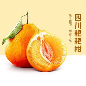 正宗四川粑粑柑春见耙耙柑桔子橘子新鲜柑橘新鲜水果10斤应季水果