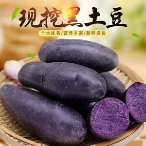 新鲜现挖紫土豆农家自种黑土豆黑金刚马铃薯乌洋芋大土豆10包邮